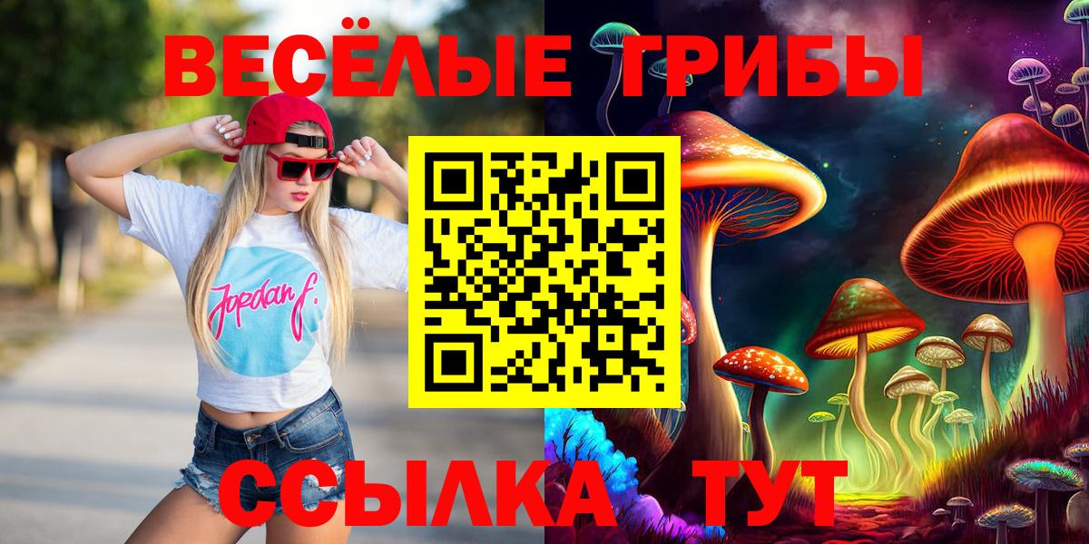 Галлюциногенные грибы прущие грибы  Вход с VPN  Костомукша 