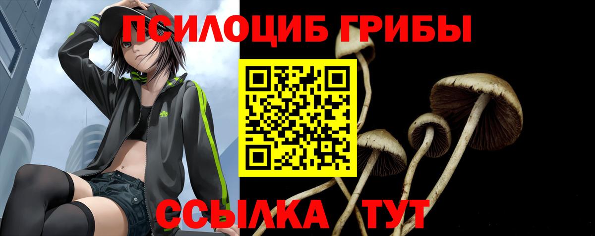 Псилоцибиновые грибы Psilocybine cubensis Костомукша